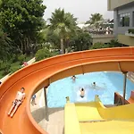 Kirbiyik Kargicak